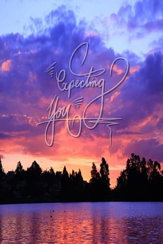 Cover of Expecting You