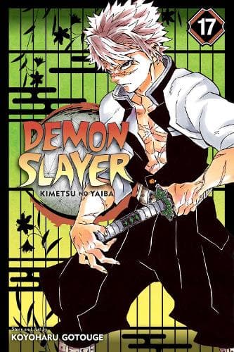 Cover of Demon Slayer: Kimetsu no Yaiba, Vol. 17: Volume 17(Demon Slayer: Kimetsu no Yaiba)
