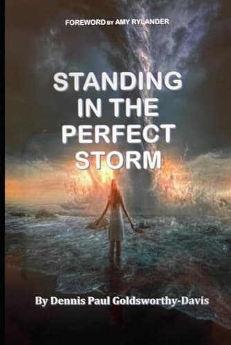 Cover of Standing In The Perfect Storm
