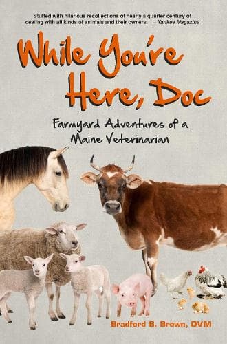 Cover of While You're Here, Doc