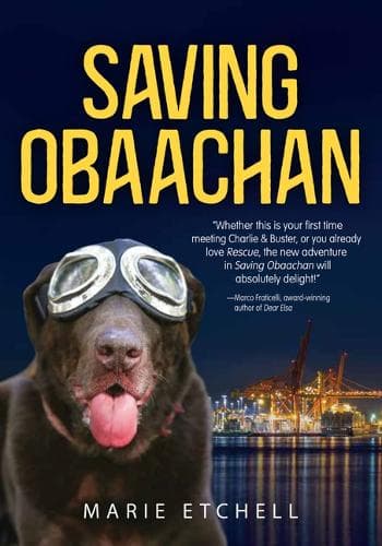 Cover of Saving Obaachan