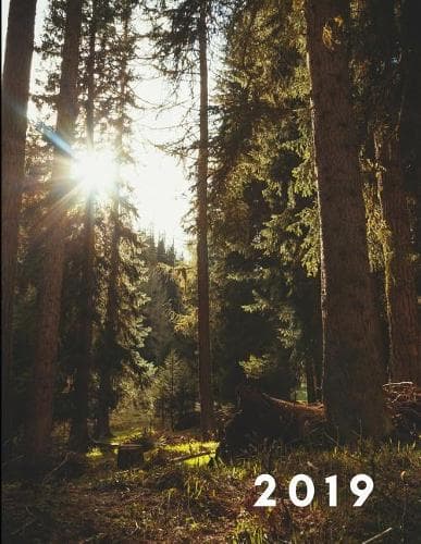 Cover of 2019