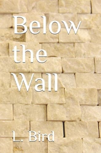 Cover of Below the Wall