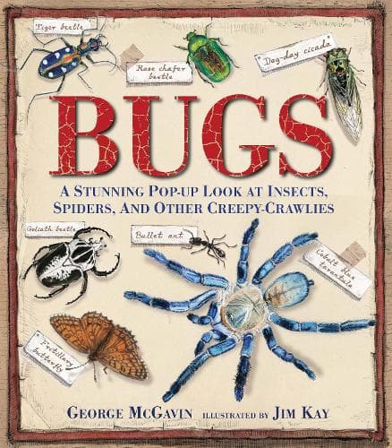 Cover of Bugs