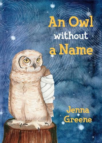 Cover of An Owl without a Name