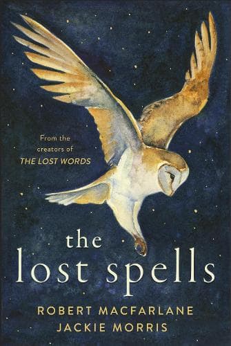 Cover of The Lost Spells