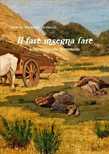 Cover of Il fare insegna fare