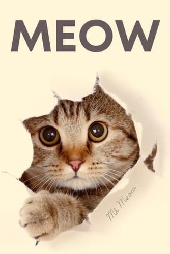 Cover of Meow