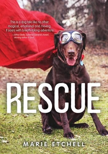 Cover of Rescue