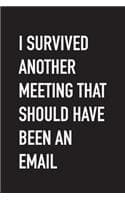 Cover of I Survived Another Meeting That Should Have Been An Email