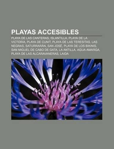 Cover of Playas Accesibles