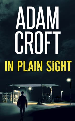 Cover of In Plain Sight