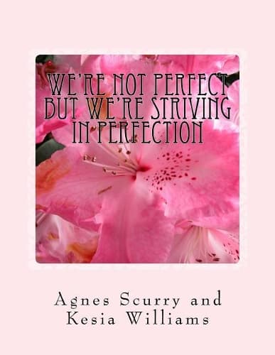 Cover of We?re not perfect but we?re striving in perfection