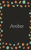 Cover of Amber