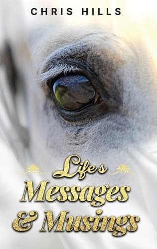 Cover of Life's Messages and Musings