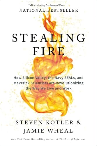 Cover of Stealing Fire