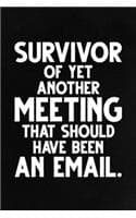 Cover of Survivor Of Yet Another Meeting That Should Have Been an Email.
