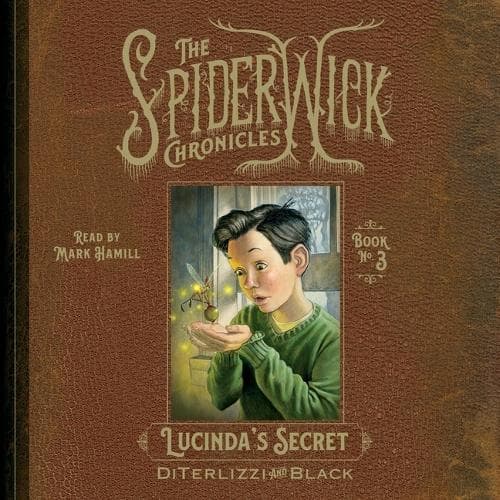 Cover of Lucinda's Secret