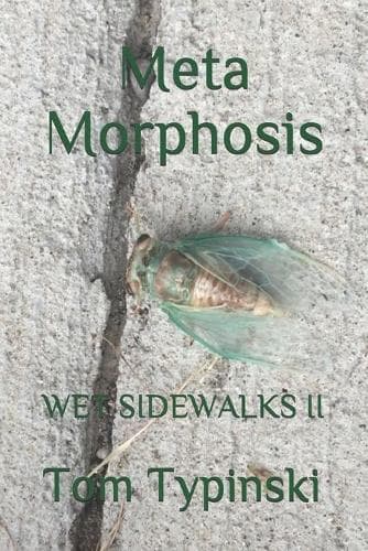 Cover of Meta Morphosis