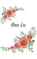 Cover of Bao Lu