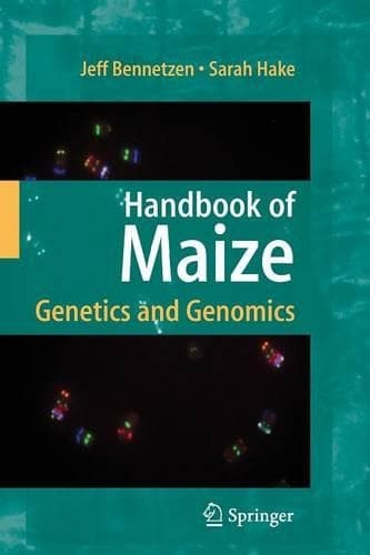 Cover of Handbook of Maize