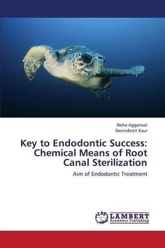 Cover of Key to Endodontic Success