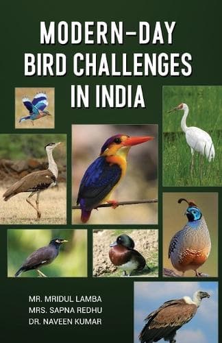 Cover of Modern-Day Bird Challenges in India