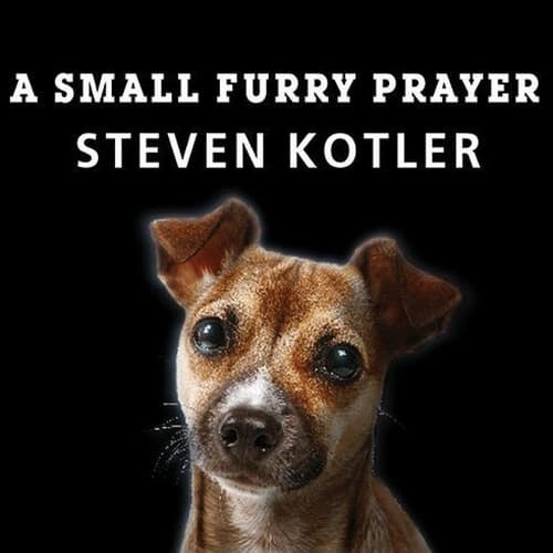 Cover of A Small Furry Prayer