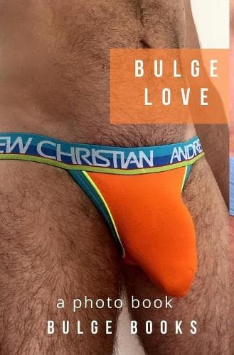 Cover of Bulge Love