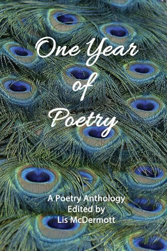 Cover of One Year of Poetry