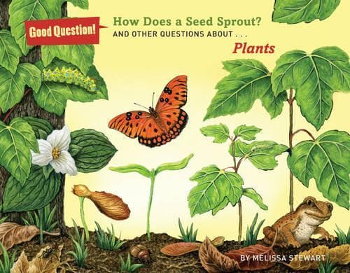 Cover of How Does a Seed Sprout?