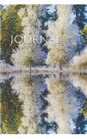 Cover of Journal