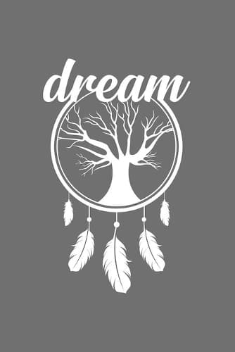 Cover of dream