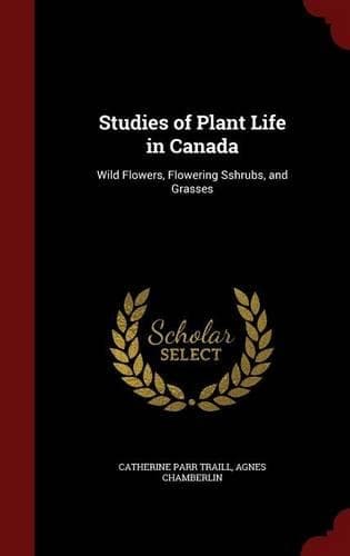 Cover of Studies of Plant Life in Canada
