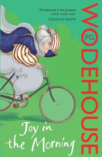 Cover of Joy in the Morning