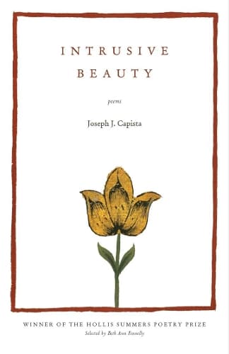 Cover of Intrusive Beauty