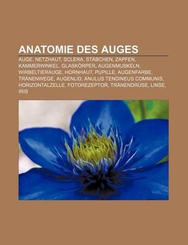 Cover of Anatomie Des Auges