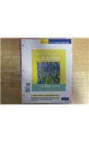 Cover of Beginning & Intermediate Algebra: (Books a la Carte)