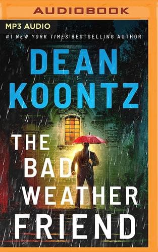 Cover of The Bad Weather Friend