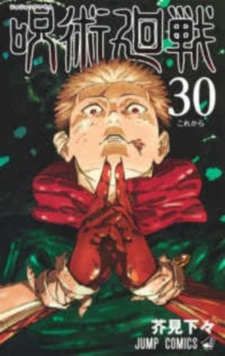 Cover of Jujutsu Kaisen 30