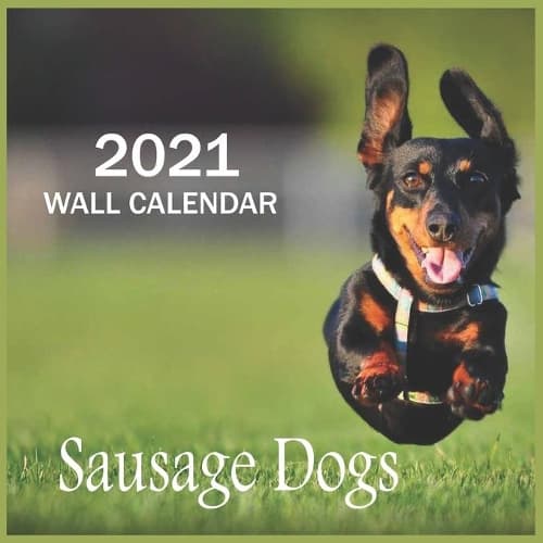 Cover of Sausage Dogs