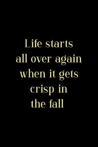 Cover of Life Starts All Over Again When It Gets Crisp In The Fall