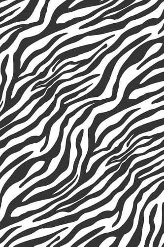 Cover of Zebra Skin