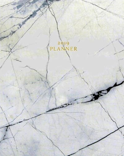 Cover of 2019 Planner: Daily, Weekly, Yearly Calendar Organizer Agenda (January 2019 to December 2019) Pale Blue Marble Quartz