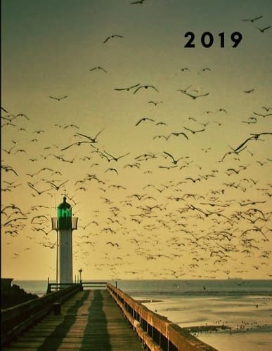 Cover of 2019