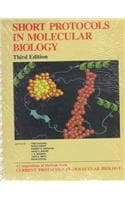 Cover of Short Protocols in Molecular Biology