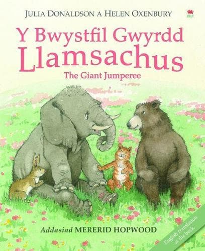 Cover of Y Bwystfil Gwyrdd Llamsachus