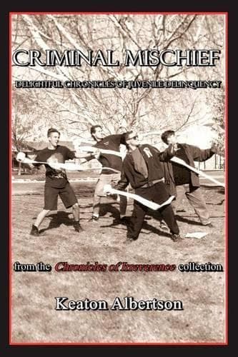 Cover of Criminal Mischief