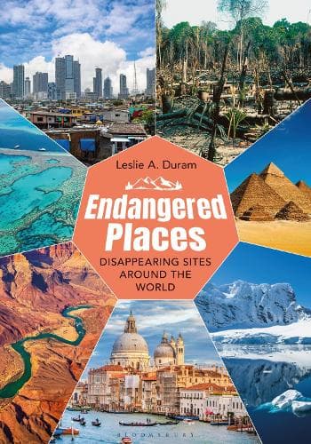 Cover of Endangered Places