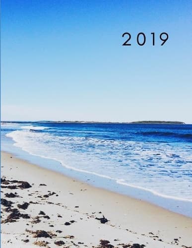 Cover of 2019
